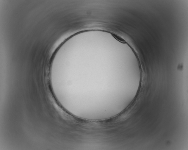 X0000113211101200910081310