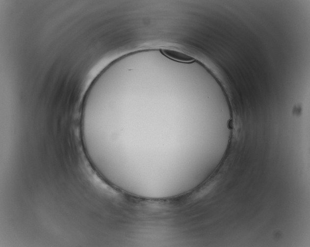 X0000113211102200910081310