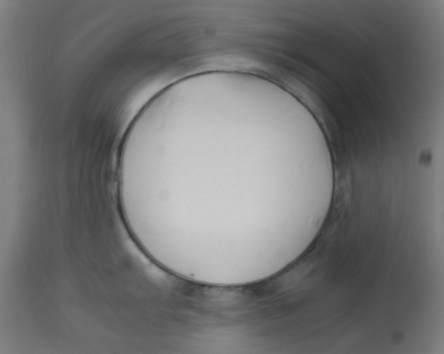 X0000113211103200910081310