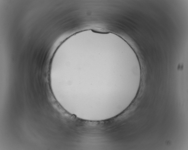 X0000113211104200910081310