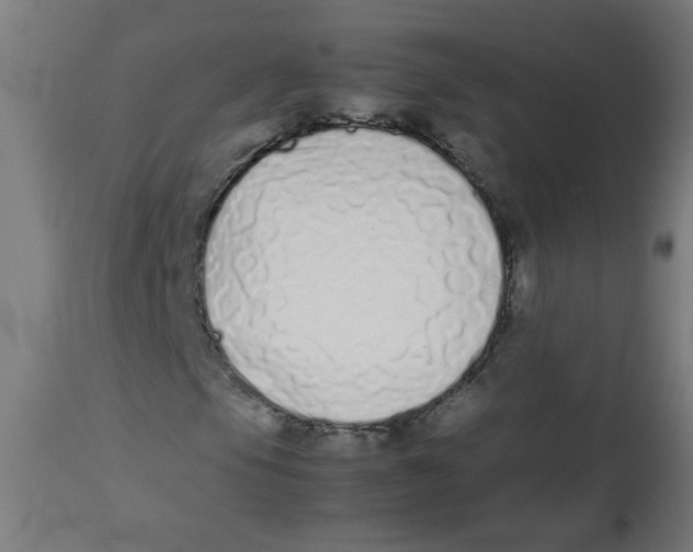 X0000113211105200910081309