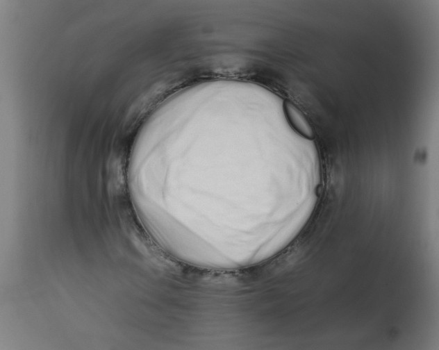 X0000113211106200910081309