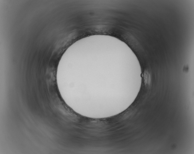 X0000113211107200910081309