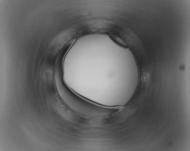 X0000113211108200910081309