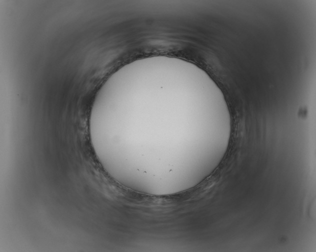 X0000113211109200910081309