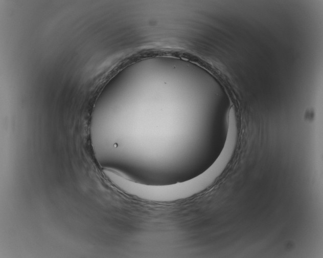 X0000113211110200910081309