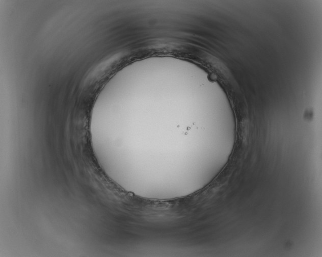 X0000113211111200910081309