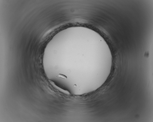 X0000113211112200910081309