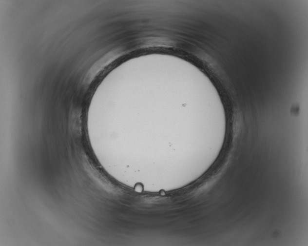 X0000113211113200910081309