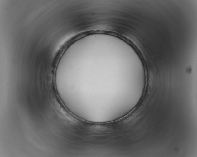 X0000113211115200910081310