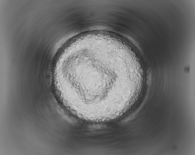 X0000113211117200910081310