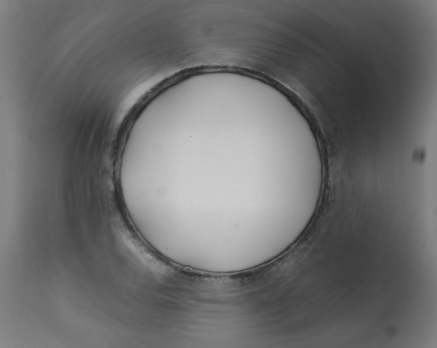 X0000113211120200910081310