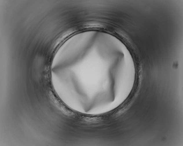 X0000113211121200910081310