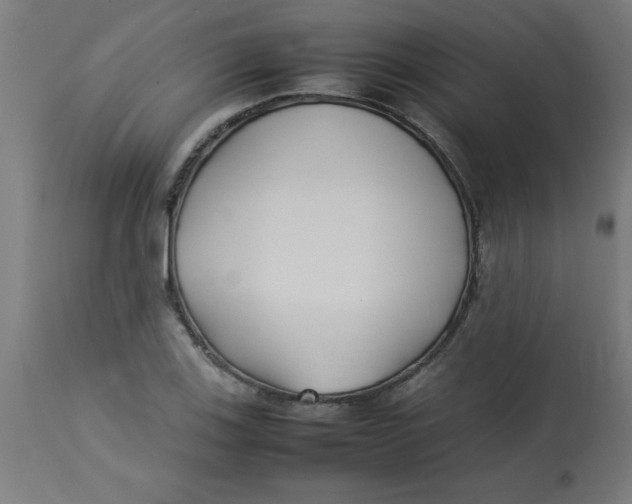 X0000113211123200910081310