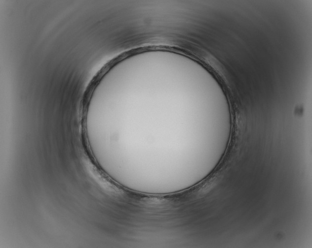 X0000113211124200910081310