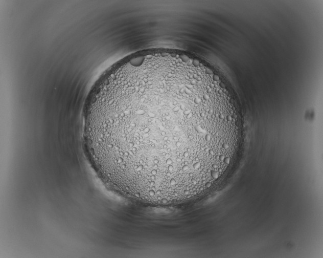 X0000113211125200910081310