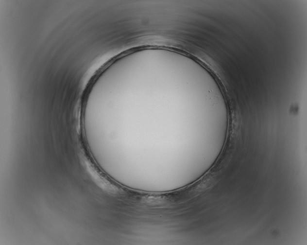 X0000113211128200910081310