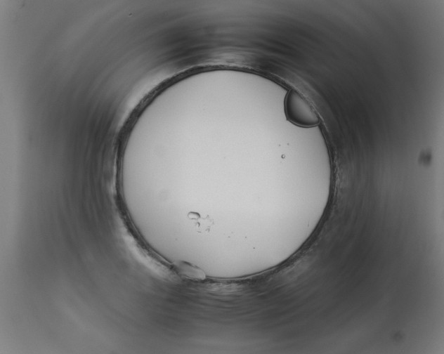 X0000113211131200910081310