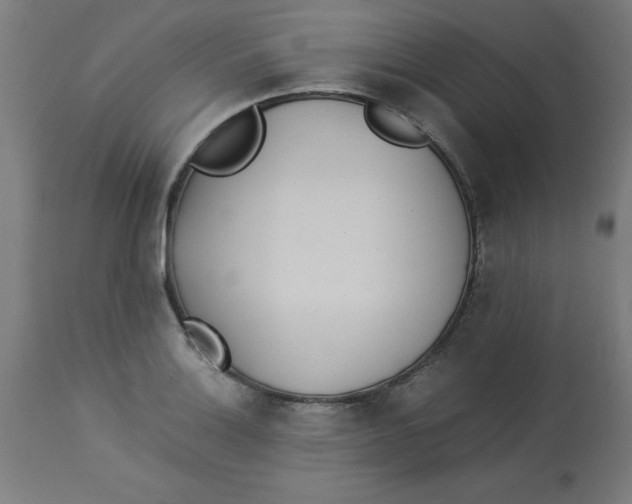 X0000113211132200910081310