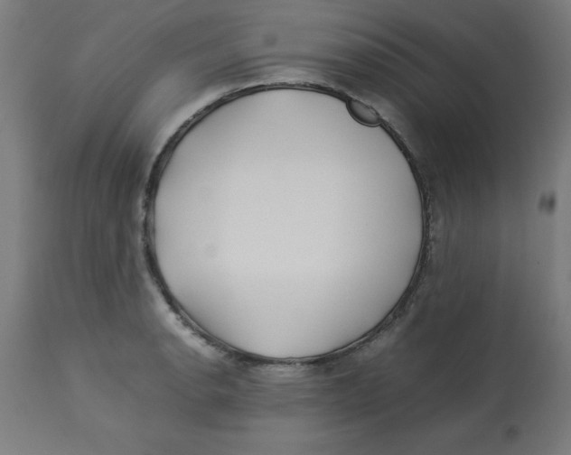 X0000113211134200910081310