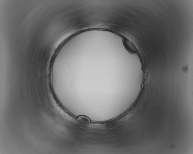 X0000113211135200910081310