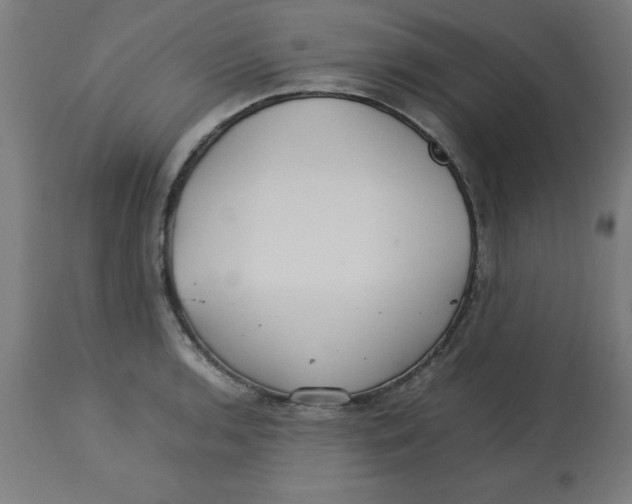 X0000113211136200910081310