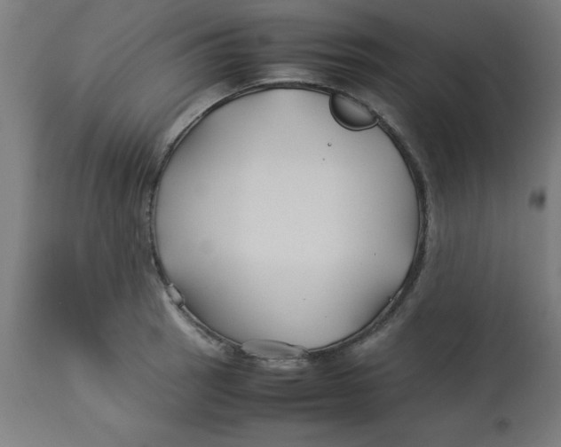 X0000113211137200910081310