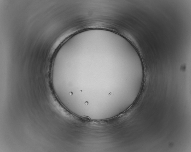 X0000113211138200910081310