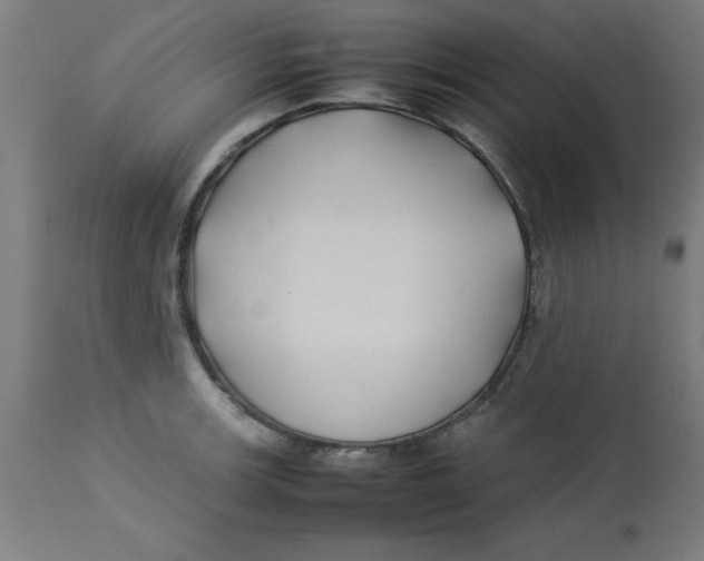 X0000113211139200910081310