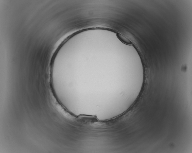 X0000113211140200910081310