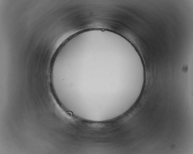 X0000113211141200910081310