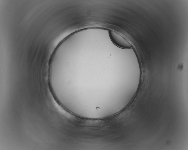 X0000113211143200910081310