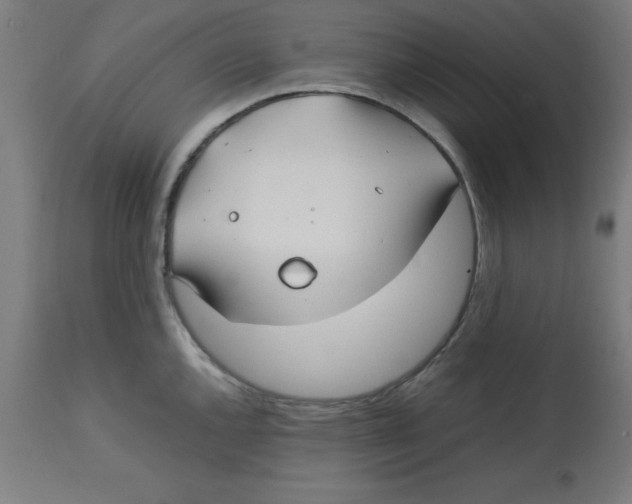 X0000113211144200910081310