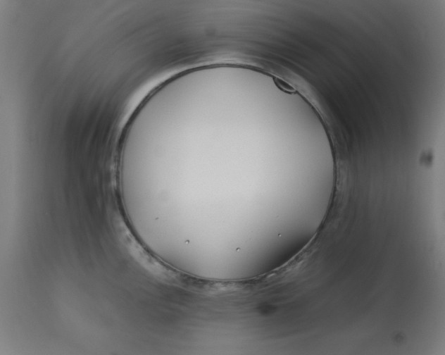 X0000113211148200910081310