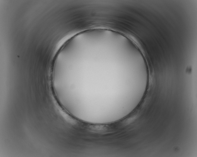 X0000113211149200910081310