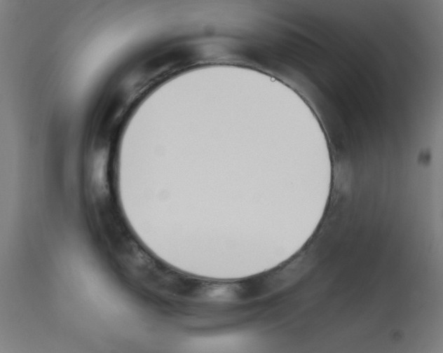 X0000113211150200910081310