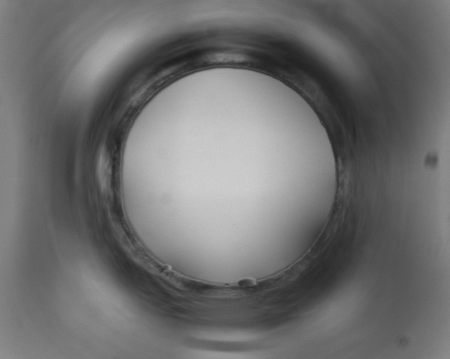 X0000113211151200910081310