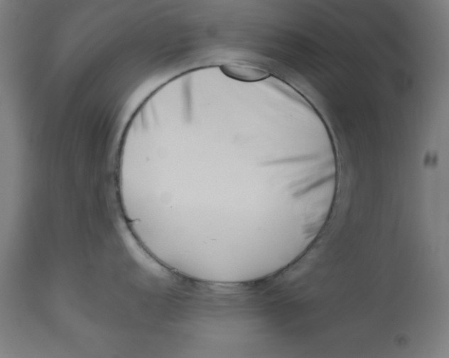 X0000113211152200910081310