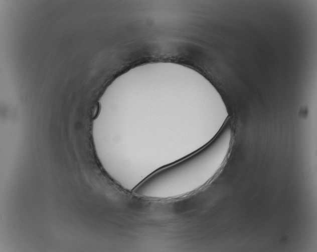 X0000113211153200910081309