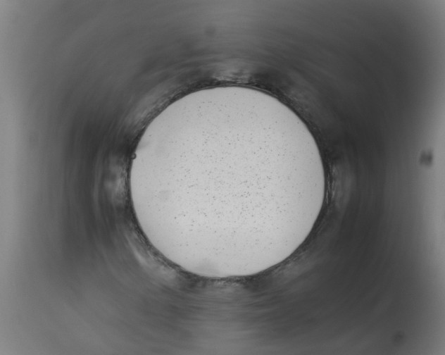 X0000113211154200910081309