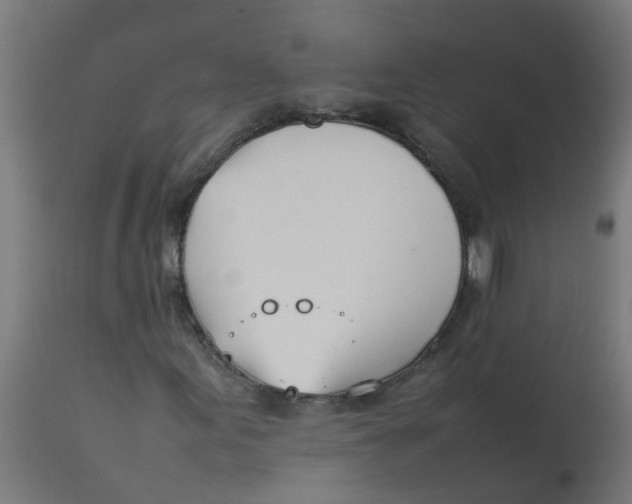 X0000113211155200910081309