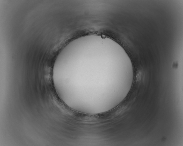 X0000113211156200910081309