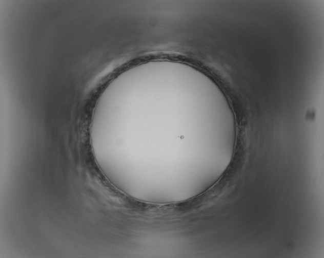 X0000113211159200910081309