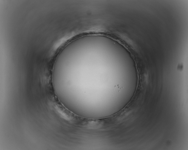 X0000113211160200910081309