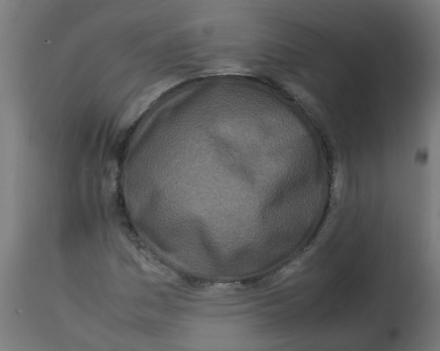 X0000113211161200910081309