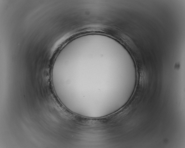 X0000113211164200910081309