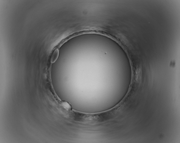 X0000113211165200910081309