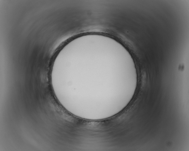 X0000113211166200910081309