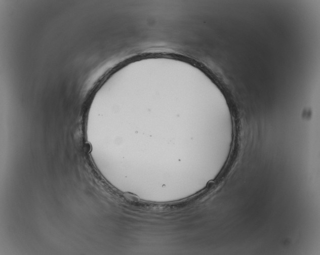 X0000113211167200910081309