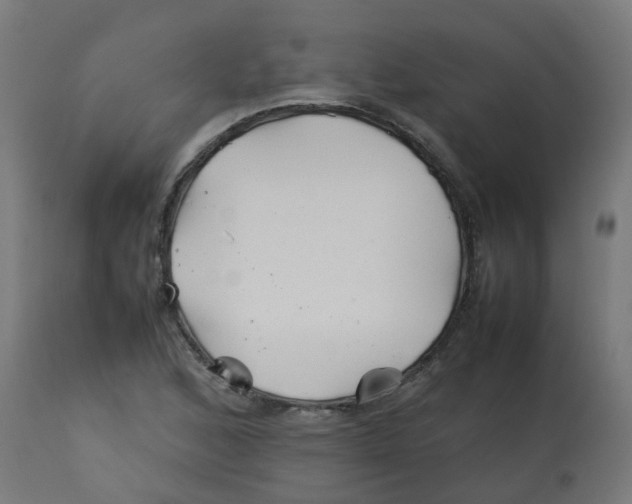 X0000113211168200910081309